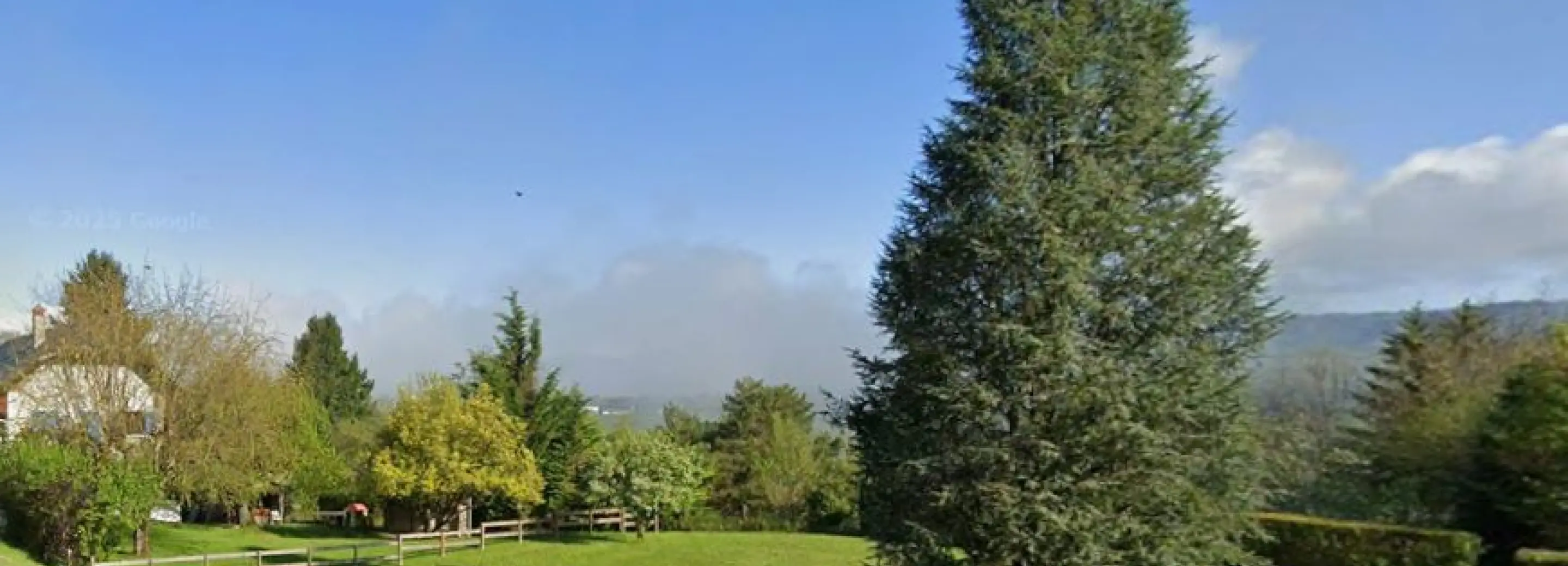 2175247.jpg