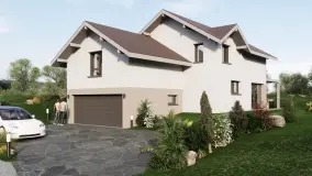 2175540.jpg