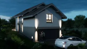 2175543.jpg