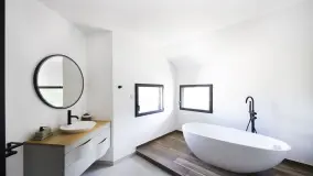 2175547.jpg