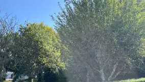 2175559.jpg