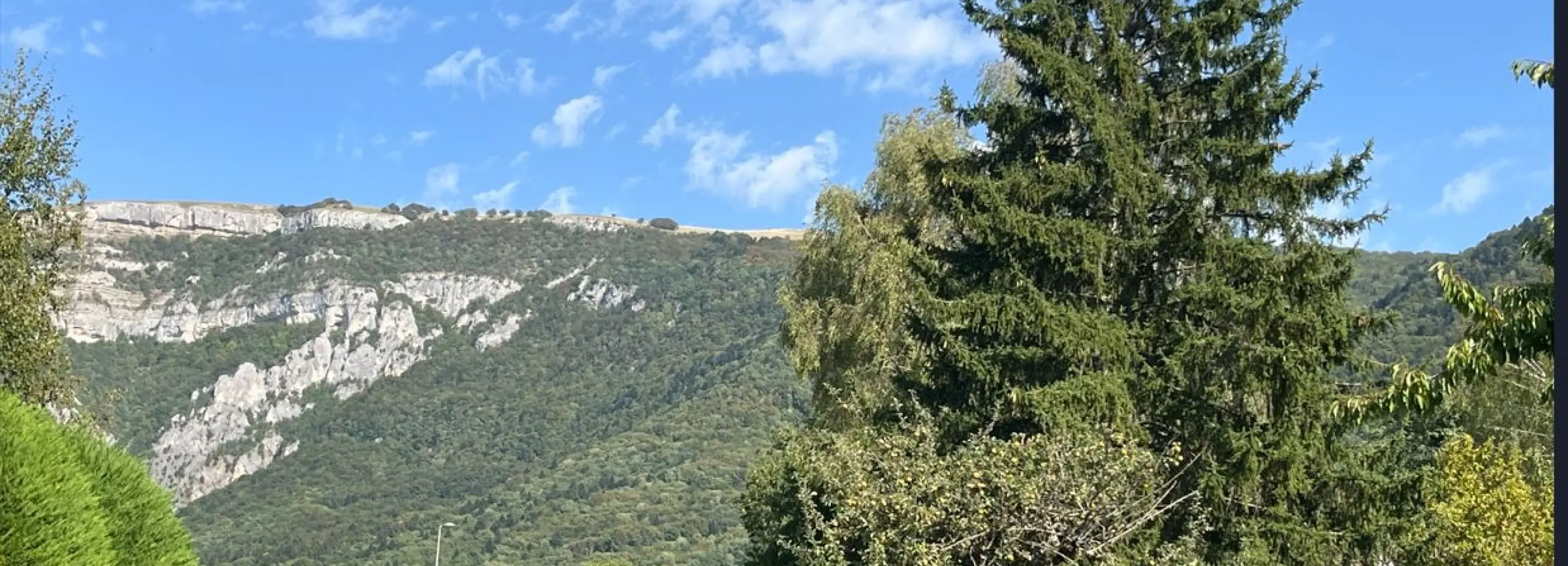 2175557.jpg