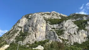 2175560.jpg